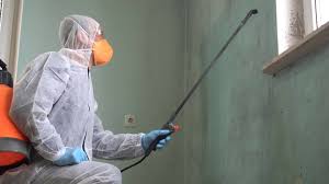 Reliable Honokaa, HI Mold Removal Services Solutions